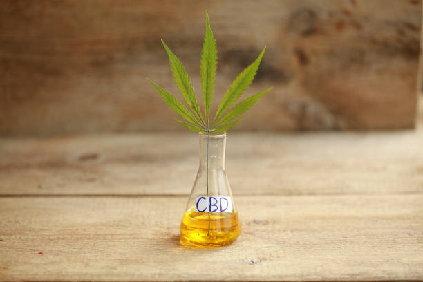 Exploring the Benefits and Uses of CBD Oil Releaf.co.uk