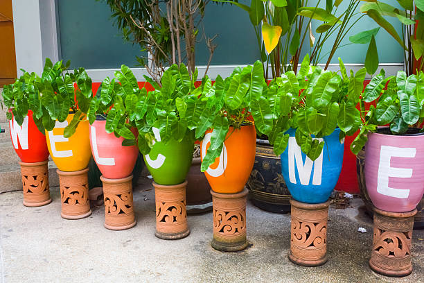 ornamental plant pot crossword clue